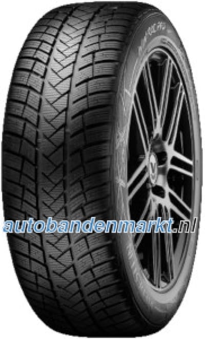 Vredestein Wintrac Pro+ ( 315/30 R21 105Y XL EVc, met wangbescherming (FSL) )