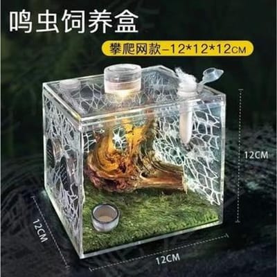 Transparante Springspin Kweekbox Krekels Insecten Ecologische Box Insect Bevochtiging Ecologische Box