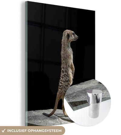 MuchoWow® Glasschilderij 120x160 cm - Schilderij acrylglas - Stokstaartje - Wilde dieren - Zwart - Foto op glas - Schilderijen