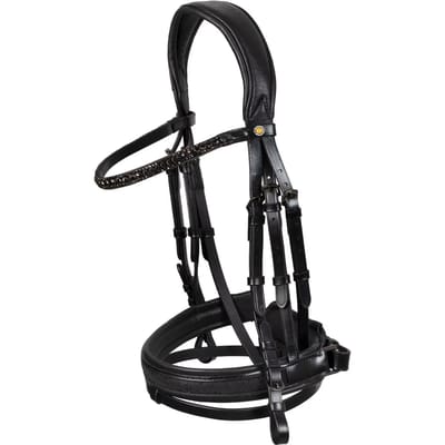 Hoofdstel Equestro