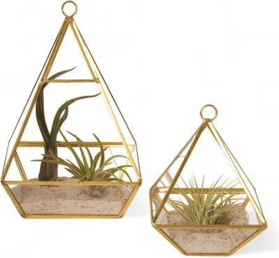 WinQ- Terrarium Piramide goud/glas S/2 - 2 maten 10x14/ 13,5x21cm- voorzijde open-inclusief koord om op te hangen