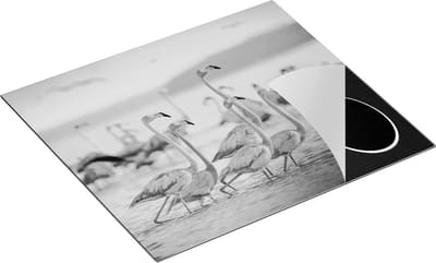 Chefcare Inductie Beschermer Kudde Flamingo's in het Water - Zwart Wit - 60x50 cm - Afdekplaat Inductie - Kookplaat Beschermer - Inductie Mat