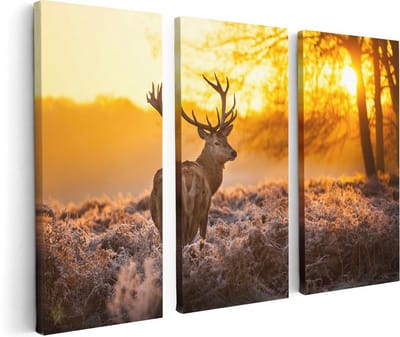 Artaza Canvas Schilderij Drieluik Hert In Bos Tijdens De Zonsopkomst - 120x80 - Foto Op Canvas - Canvas Print