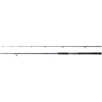 Shimano Fishing Bb S100h Spinhengel Zilver 3.05 m / 85 g