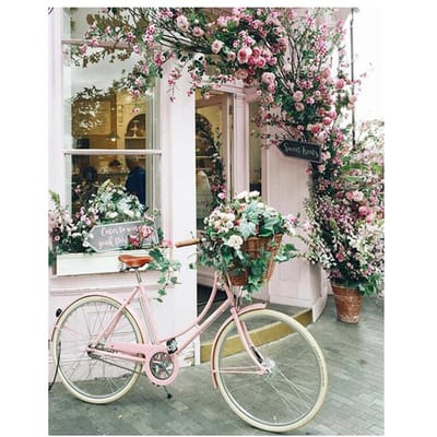 DIY Diamant Borduurwerk Fiets Bloemen Diamant Schilderij, Kruissteek 20X30CM gray