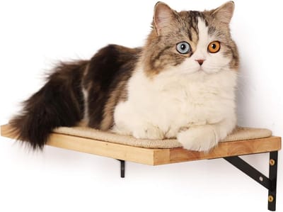 Famanu - Zwevende wandplank met krabmat, houten plank voor katten, 40x25 cm