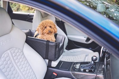 Hondenautostoel 2-in-1 voor kleine honden - veilig en comfortabel, zwart, wasbaar, voor middenconsole