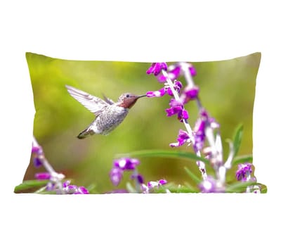 Sierkussens - Kussentjes Woonkamer - 50x30 cm - Kolibrie - Vogel - Bloemen - Natuur