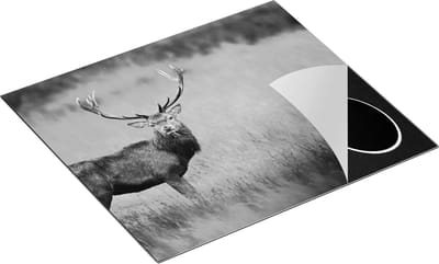 Chefcare Inductie Beschermer Hert in de Weide - Zwart Wit - 60x50 cm - Afdekplaat Inductie - Kookplaat Beschermer - Inductie Mat