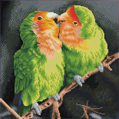 Full Diamond Painting Volwassenen - Hobby - Volledig Pakket - Vierkante Steentjes - DQ10.014 Diamond Dotz® - Groen oranje papegaaitjes 41 x 41cm
