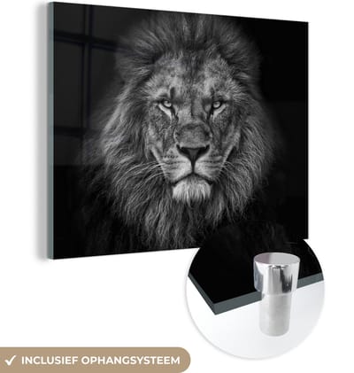 Glasschilderij leeuw - Zwart - Wit - Dieren - Foto op glas - Wanddecoratie glas - 160x120 cm - Woondecoratie - Schilderij glas - Muurdecoratie woonkamer - Glasplaat