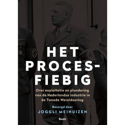 Het Proces-Fiebig - Joggli Meihuizen