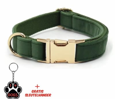 SilverAndCoco® - Donker Groene Honden Halsband met Gratis Sleutelhanger | Velvet Hond Puppy Bandje | Hondenhalsband Suède Gouden | Kleding Decoratie | Hondenbandje Huisdier - Donker Groen / Goud