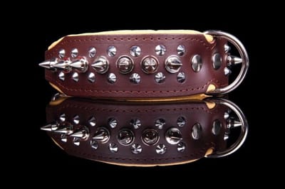Dog's Companion Leren Halsband - met Spikes - Lengte: 50cm Verstelbaar van: 40-47 cm x 40 mm - Bruin/Naturel