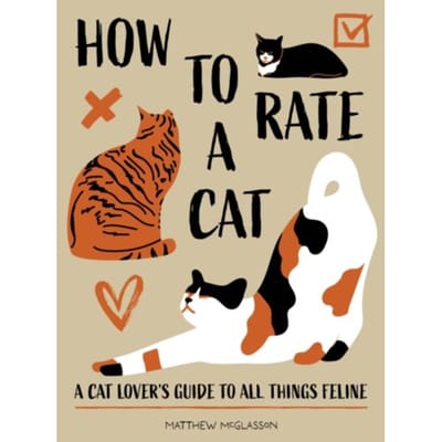 How To Rate A Cat - Matthew McGlasson