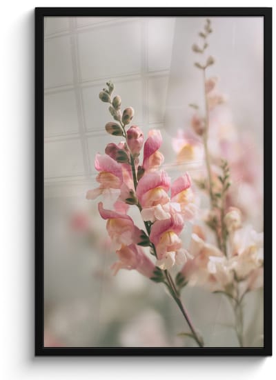 Poster in lijst - Fotolijst 60x90 cm - Posters - Bloem - Leeuwenbek - Roze - Stengel - Posterlijst zwart - Decoratie - Wanddecoratie woonkamer - Muurdecoratie slaapkamer