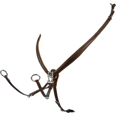 Hondenhalsband van leer met gesp Equestro