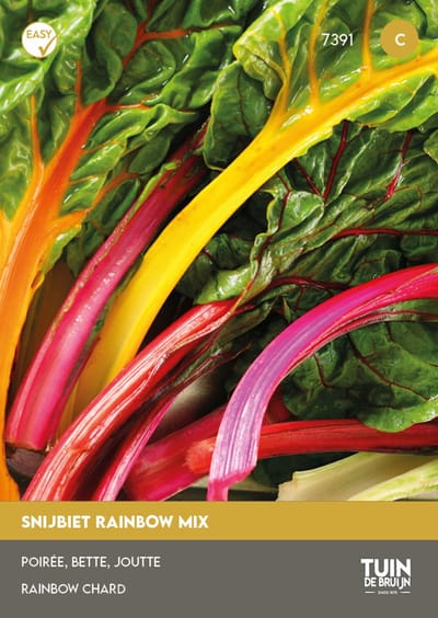 Tuin de Bruijn® zaden - Snijbiet Rainbow mix - lekker, gezond en kleurrijk - ca. 10 zaden