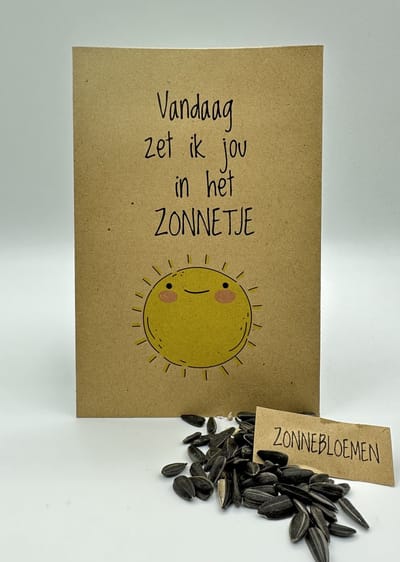 10 stuks, vandaag zet ik jou in het zonnetje, zonnebloemen, klein kadootje, brievenbuscadeautje geluk, bloemenzaad,,uitdeelkadootje, zonnebloemen,
