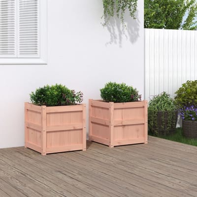 vidaXL - Plantenbakken - 2 - st - massief - douglashout