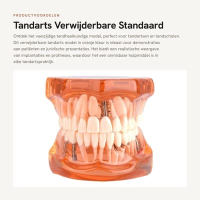 Dailygoods- Tand Implantatiemodel - Tandheelkundige Tools - Vaste Prothese - Demonstratiemodel - Onderwijs - Juridische Presentaties - Tandheelkundig Model
