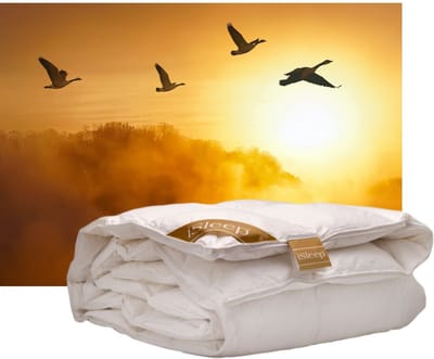 iSleep Gold Donzen Enkel Dekbed - 100% Dons - Ganzendons - Eenpersoons - 140x200 cm