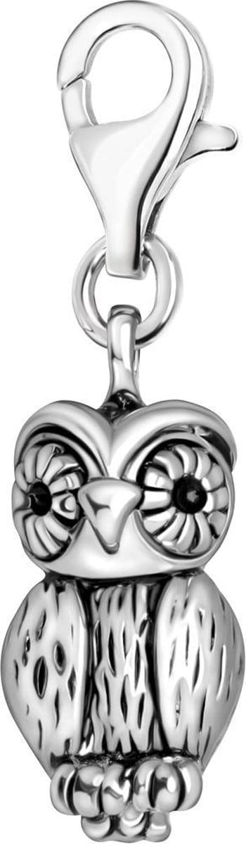 Quiges – Charm – Hanger - 3D Uil - Verzilverd - karabijnslot - geschikt - voor - Bedelarmband - QHC132