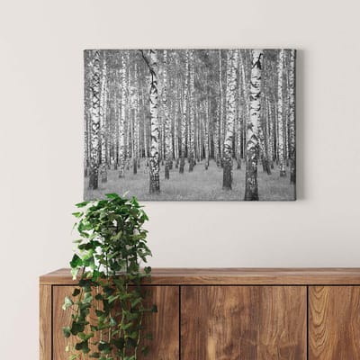 Canvas print DD123018 Birch Forest A.S. Création 0,7 x 0,5 m Wit Kantoor Hal/Gang Keuken Slaapkamer Woonkamer