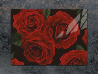 TMK ArtDeko Serie - Glazen Beschermplaat - 70x52 cm - Rood - Modern Design