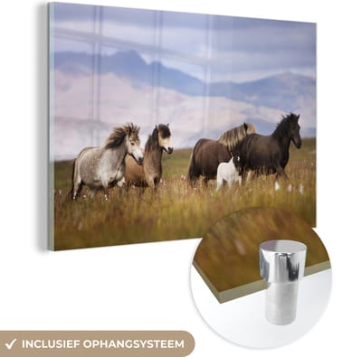 MuchoWow® Glasschilderij 60x40 cm - Schilderij acrylglas - Paarden - Gras - Bergen - Foto op glas - Schilderijen