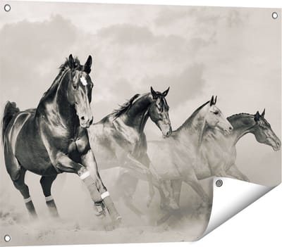 Gards Tuinposter Vier Paarden naast Elkaar - Zwart Wit - 80x60 cm - Tuindoek - Tuindecoratie - Wanddecoratie buiten - Tuinschilderij