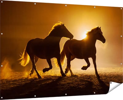 Gards Tuinposter Silhouet van Twee Paarden - 180x120 cm - Tuindoek - Tuindecoratie - Wanddecoratie buiten - Tuinschilderij