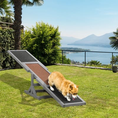 HAUSS SPOLE Hondenwip – Antislip Loopvlak – 180 x 30 x 30 cm – Grenenhout – Grijs – Voor Agilitytraining En Hondensport Buiten