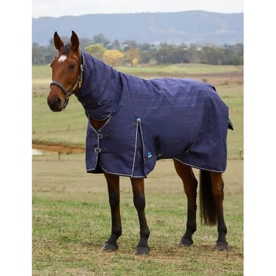 Outdoor paardendeken Weatherbeeta Comfitec Prelim Combo 220g