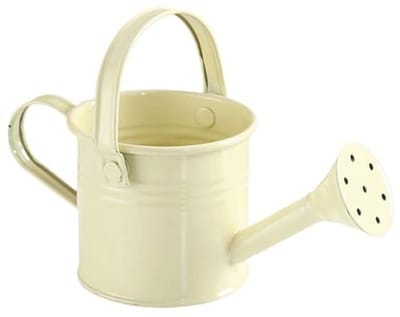 Kleine metalen gieter voor kinderen - 11,9 cm - ideaal voor binnen en buiten