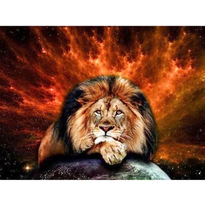 5D DIY diamant borduurwerk leeuwen kruissteek dieren Diamond schilderij mozaïek ambachten Kit Home Decor 20X30CM multi