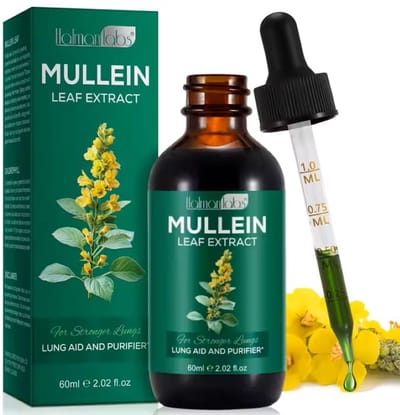 Hatmanlabs Mullein Leaf Extract – Toortsbladextract Druppels – 60 ml – Voedingssupplement