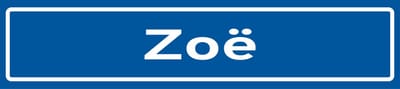 Fotofabriek Straatnaambord Zoey | Straatnaambord met naam | Cadeau Zoey