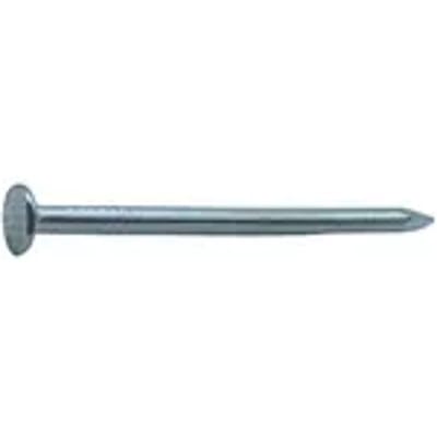Sencys Spijkers Met Platte Kop Gegalvaniseerd 2,4x45mm - 40 Stuks