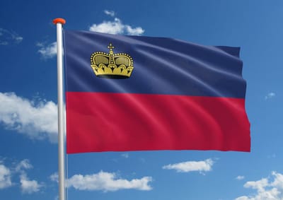 New Age Devi - Liechtensteinse Vlag - Vlag Liechtenstein - Flag - Vlaggen - Polyester - 150 x 90 cm