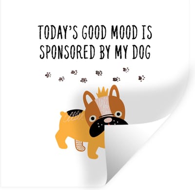 Muurstickers - Sticker Folie - Huisdieren - Quotes - Hond - Spreuken - Today's good mood is sponsored by my dog - 100x100 cm - Plakfolie - Muurstickers Kinderkamer - Zelfklevend Behang XXL - Zelfklevend behangpapier - Stickerfolie