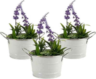 Plantenpot - 3 x Emmertje - Handvaten Bloempot - Zink - Arte r D12 x H16 cm