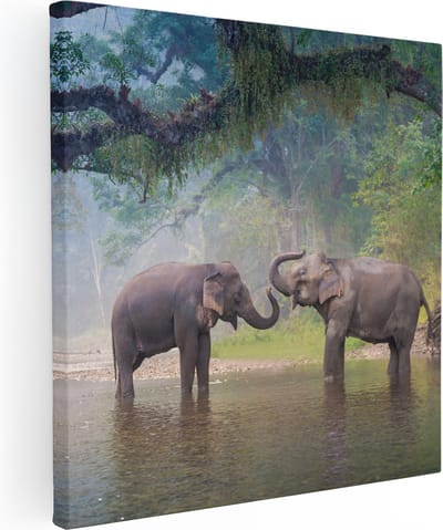 Artaza Canvas Schilderij Olifant - 80x80 cm - Wanddecoratie Dieren - Muurdecoratie Jungle - Schilderijen Op Canvas