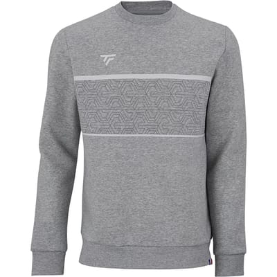 Tecnifibre Team Sweatshirt Grijs S Man