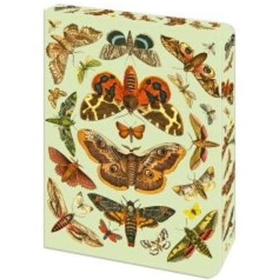 The Moth Journal - Arcturus Vintage Journals - Arcturus Publishing Limited