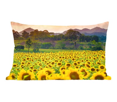 Sierkussens - Kussentjes Woonkamer - 50x30 cm - Zonnebloem - Natuur - Berg