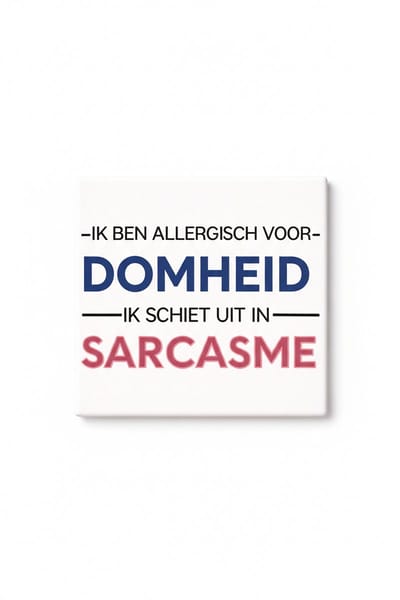 Grappige Nederlandse Sarcasme Keramische Tegel – Allergisch voor Domheid Quote Decoratieve Cadeau Tegel voor Humor Liefhebbers