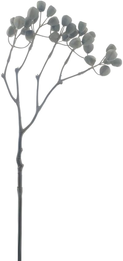 Sifang fruit spray bruin 68 cm kunsttak Buitengewoon de Boet