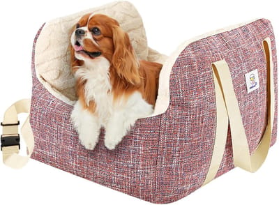 Hondenautostoel voor Kleine Honden, Verhoogde Hondenzit voor Veilig Reizen, Draagbare Hondenzit met Veiligheidsriem en Comfortabele Bedekking