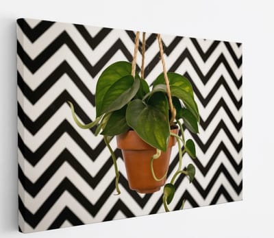 Saammp Canvas Schilderij - Hartvormige Bladplant in Pot - Natuur - Abstract - 45x30 - Foto op canvas - Wanddecoratie - Muurdecoratie Woonkamer - Kantoor Decoratie